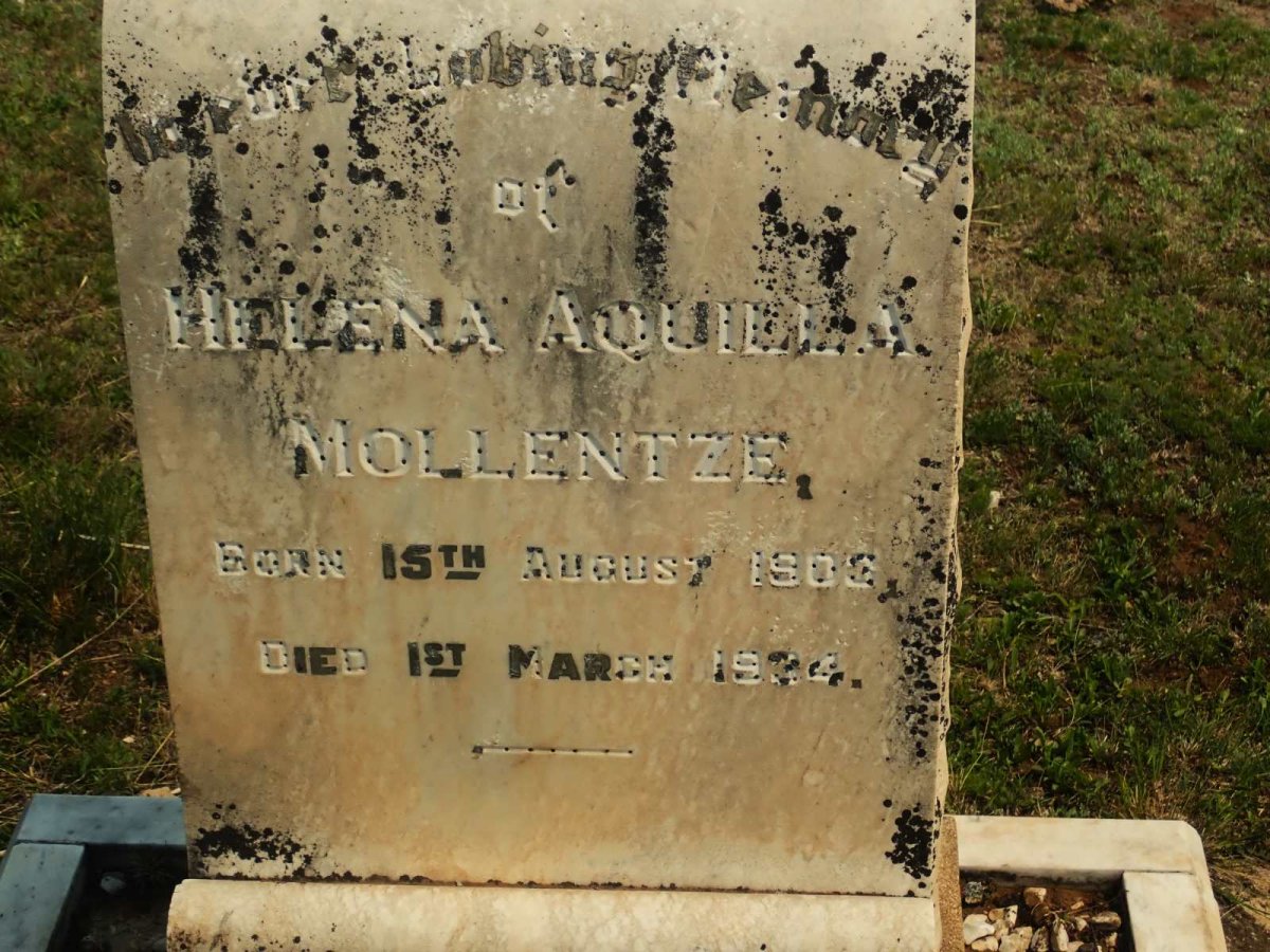 MOLLENTZE Helena Aquilla 1903-1934