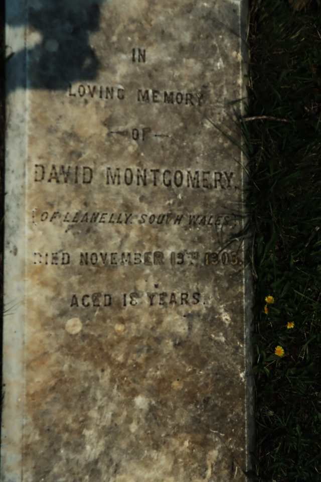 MONTGOMERY David -1903