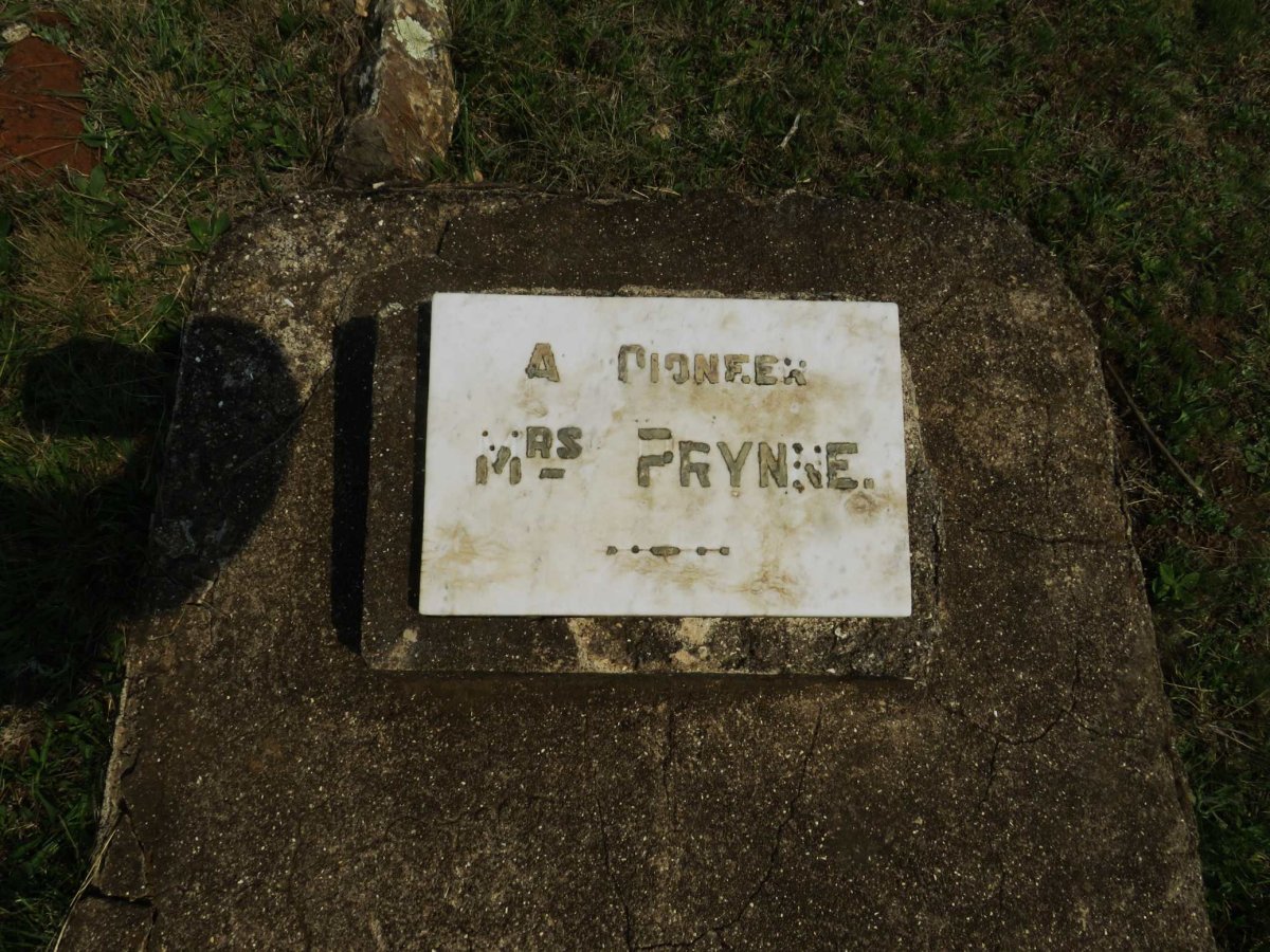 PRYNNE