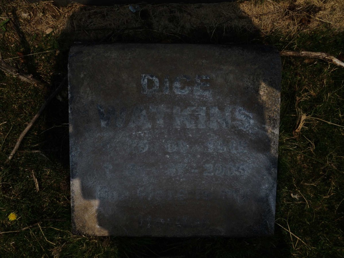 WATKINS Dice 1915-2005