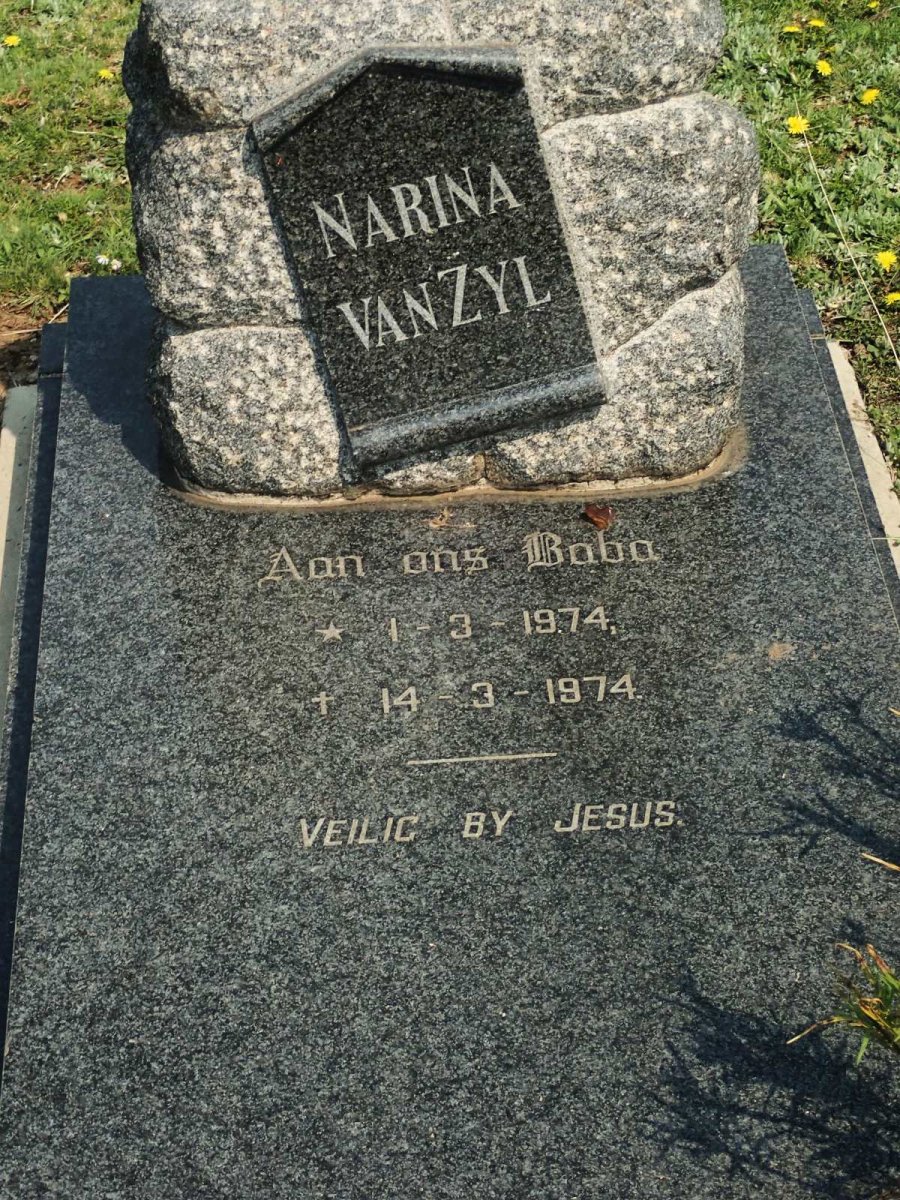 ZYL Narina, van 1974-1974