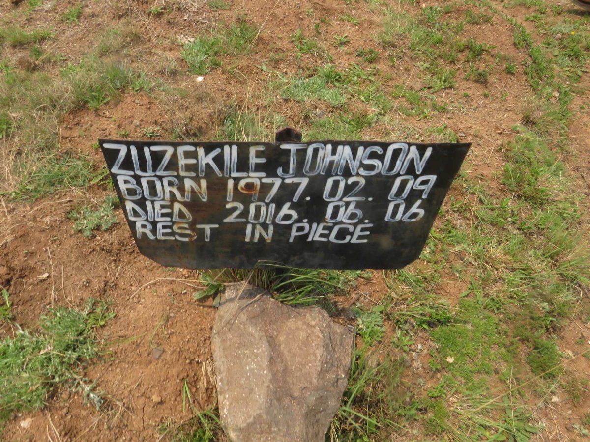 ZUZEKILE Johnson 1977-2016