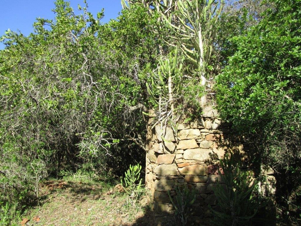 2. Ruins