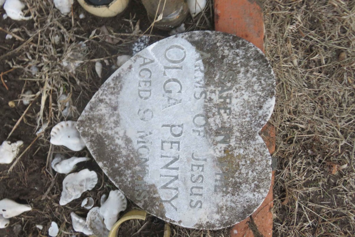 PENNY Olga