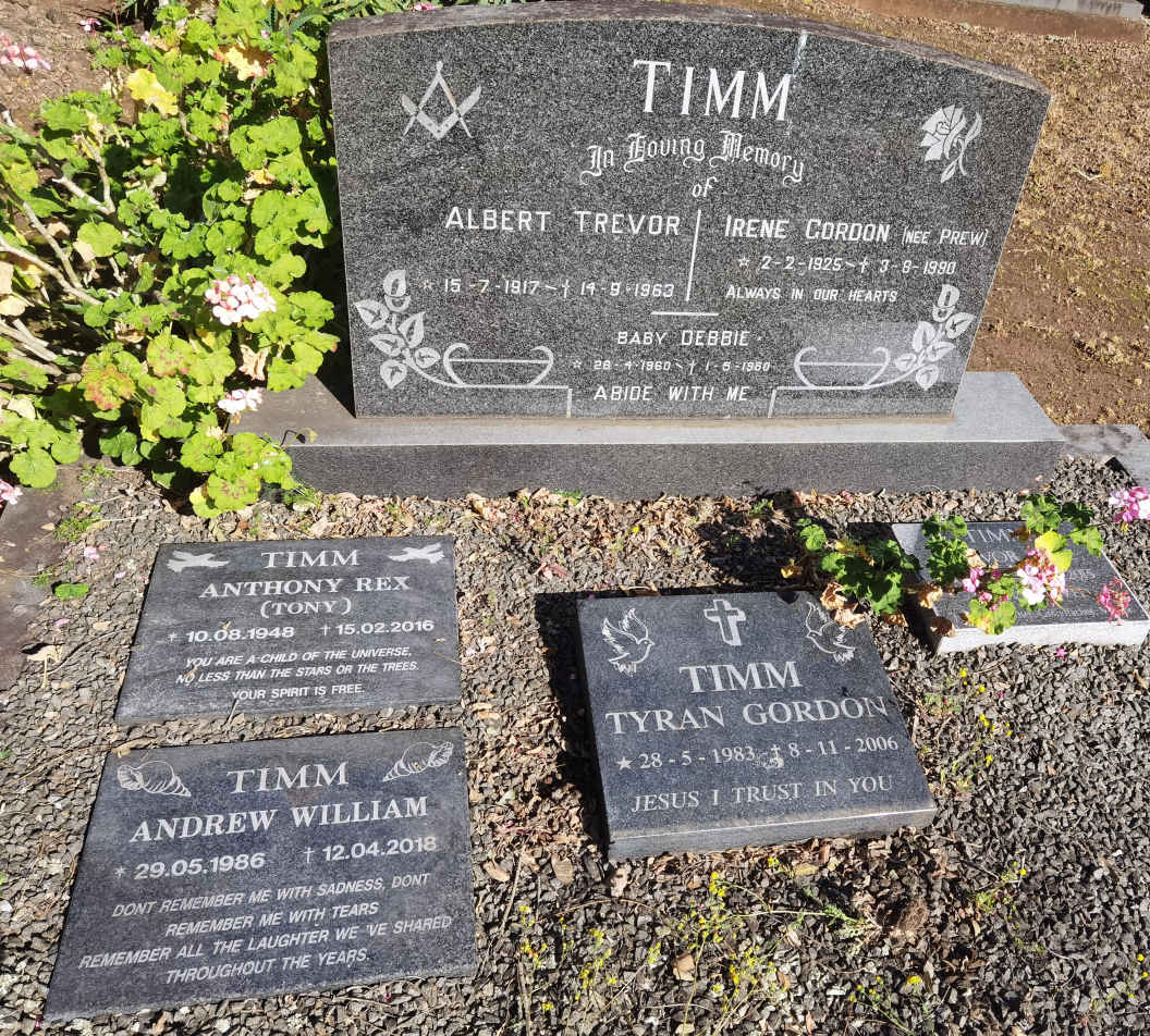 TIMM