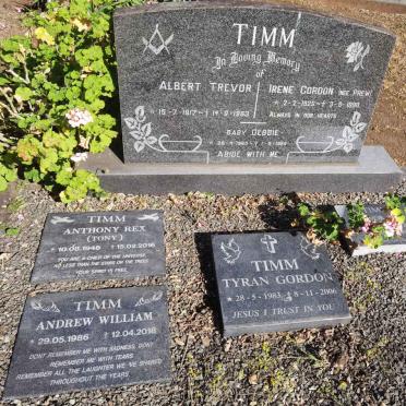 TIMM