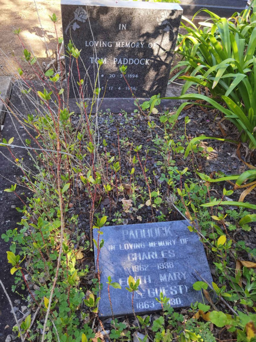 PADDOCK Charles 1862-1938 & Edith Mary GUEST 1863-1930