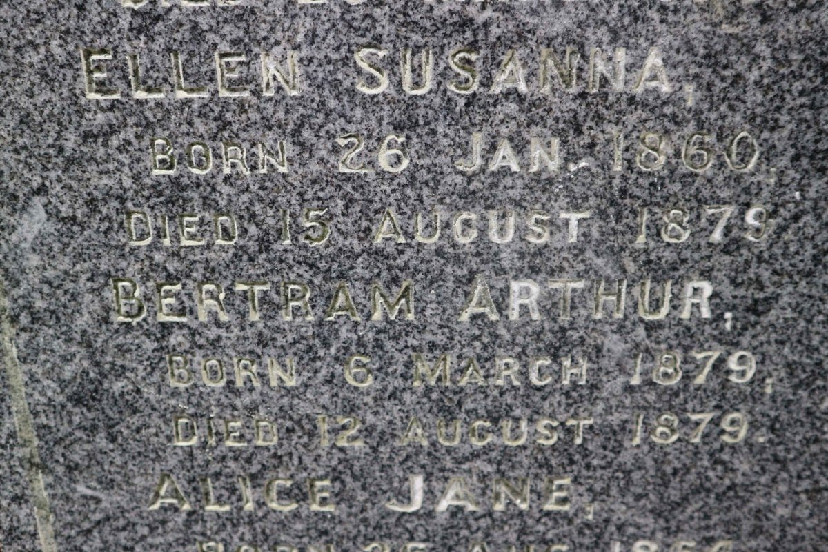 FORD Ellen Susanna 1860-1878 :: FORD Bertram Arthur 1879-1879