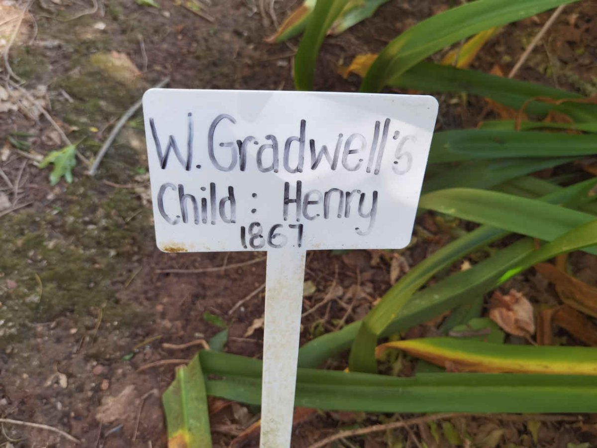 GRADWELL Henry -1867