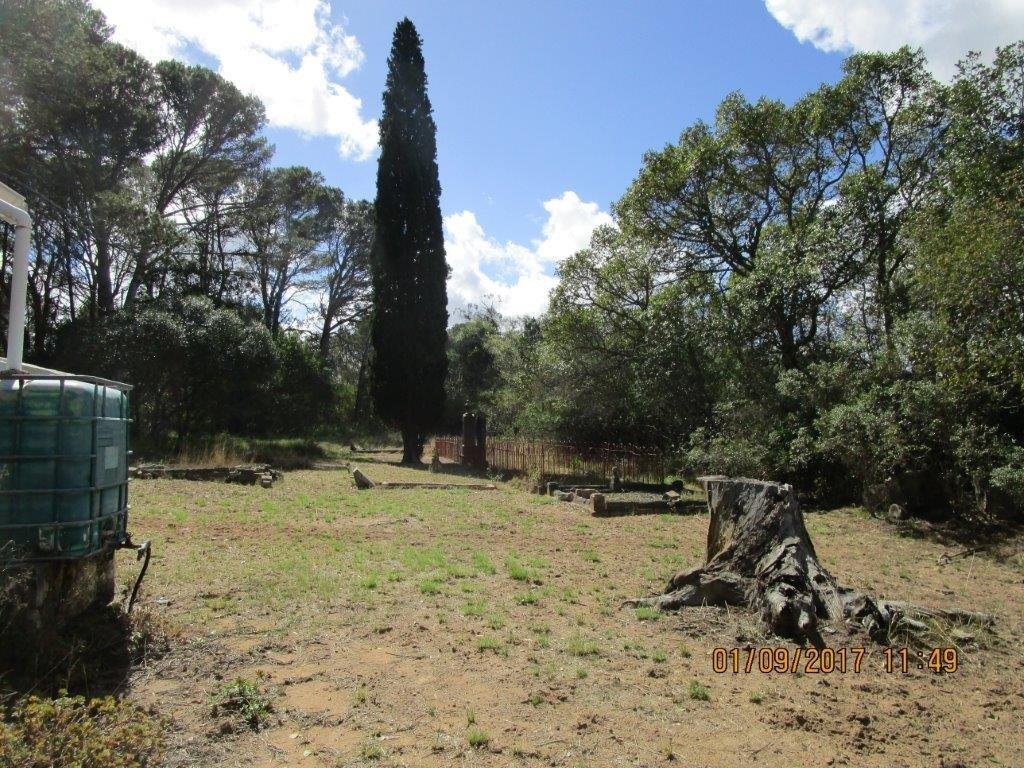 5. Overview