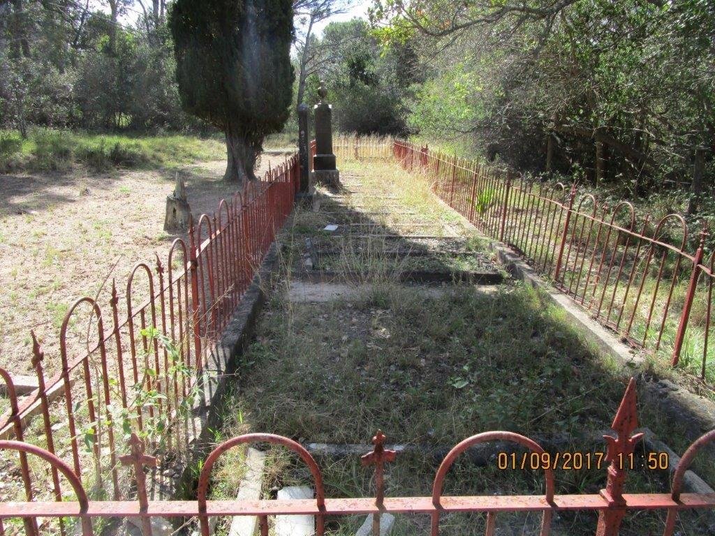 6. Overview