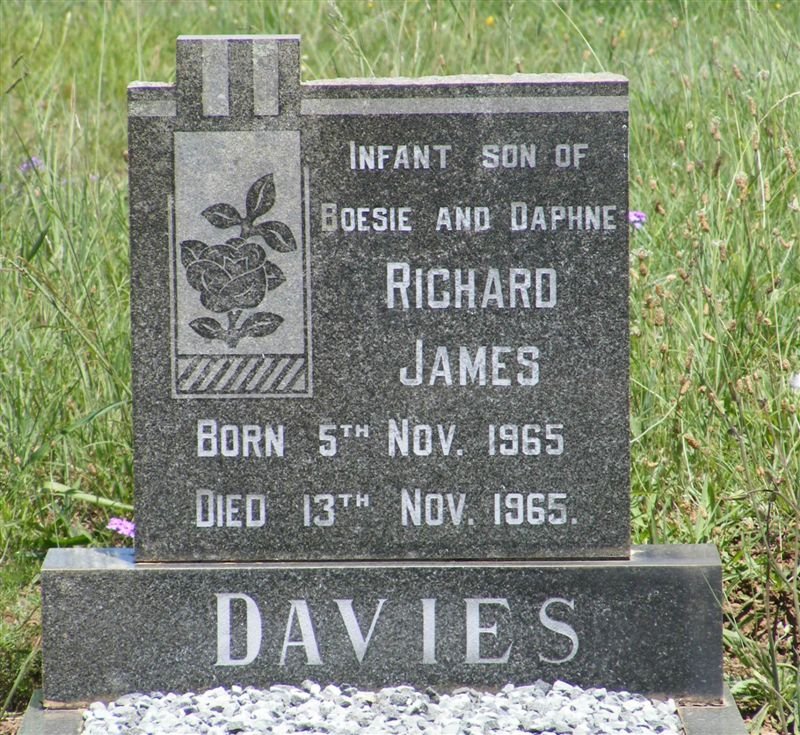 DAVIES Richard James 1965-1965