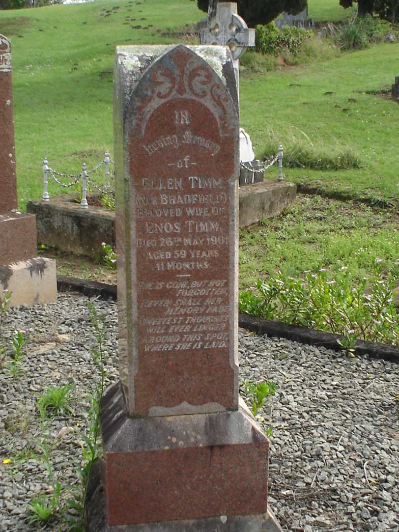 TIMM Ellen nee BRADFIELD -1901