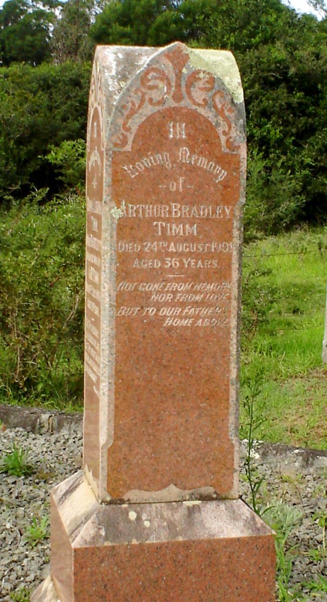 TIMM Arthur Bradley -1901