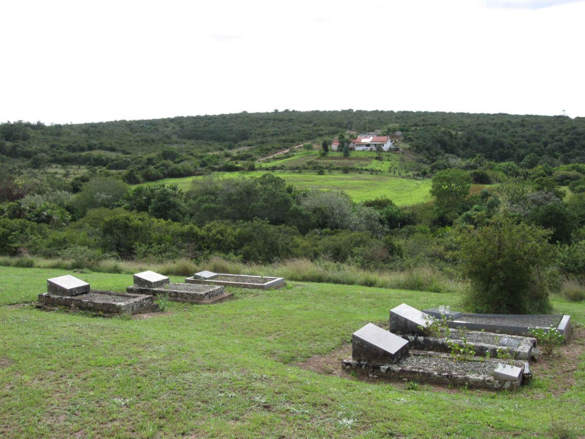 3. Overview
