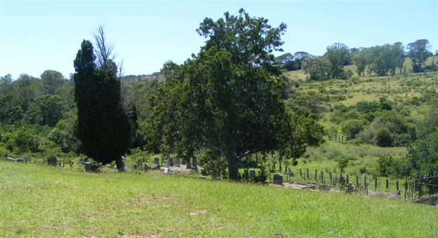 6. Overview