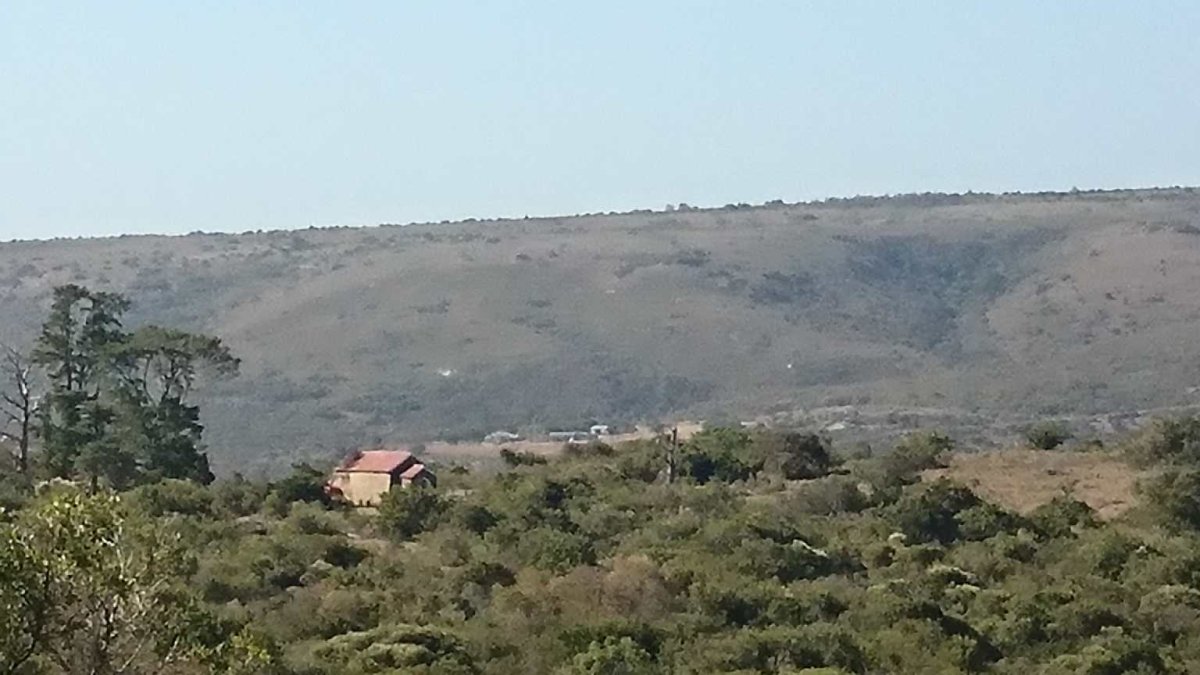 1. Overview