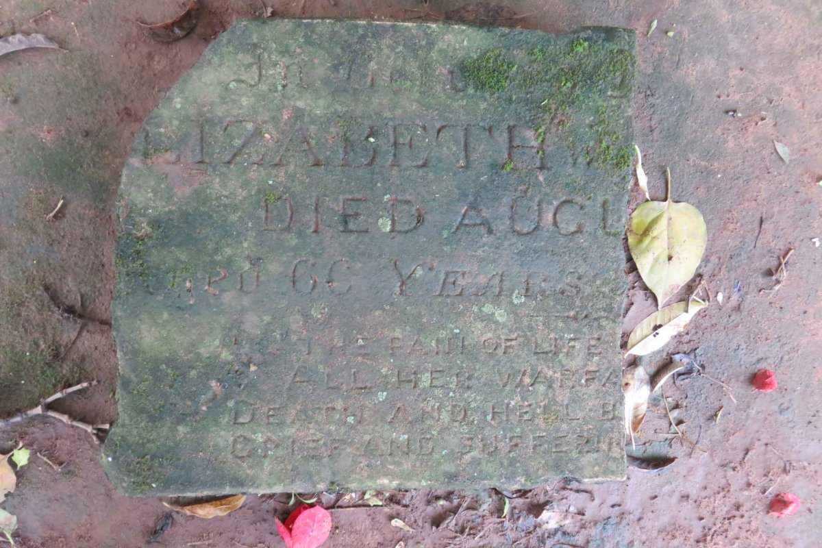 ? Elizabeth