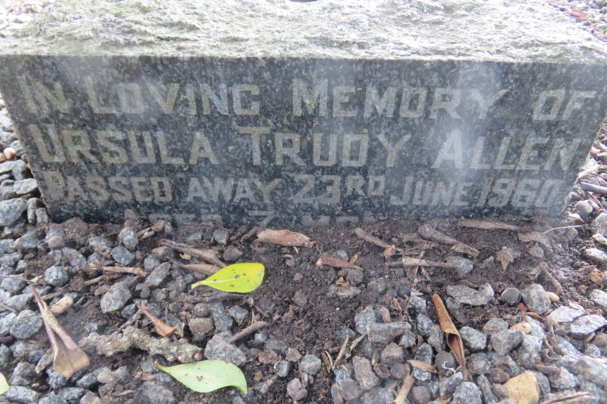 ALLEN Ursula Trudy -1960