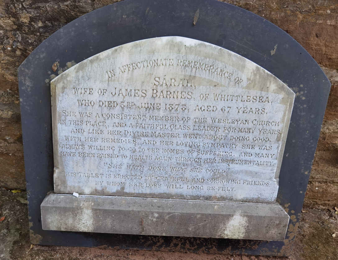 BARNES Sarah -1878