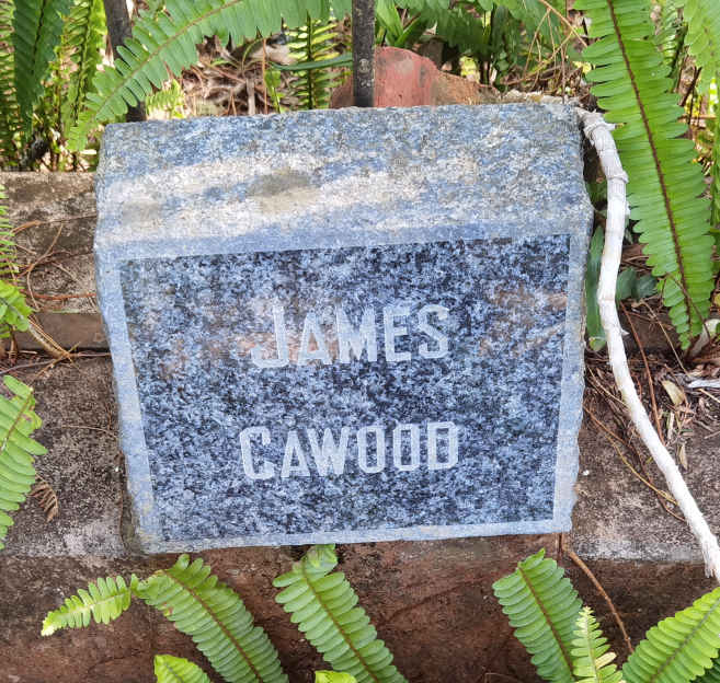CAWOOD James