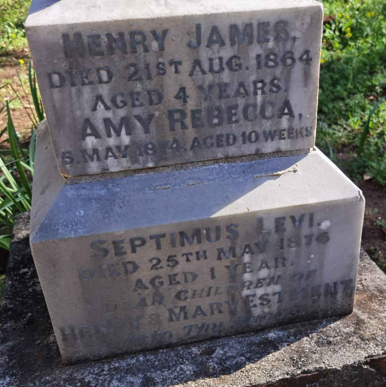 ESTMENT Henry James -1864 :: ESTMENT Amy Rebecca -1874 :: ESTMENT Septimus Levi -1876 _2