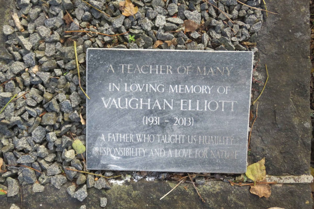 ELLIOTT Vaughan 1931-2013