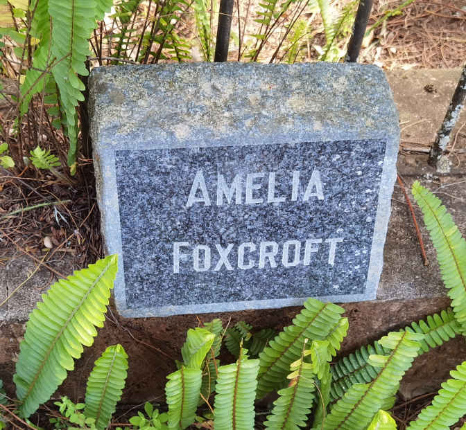 FOXCROFT Amelia
