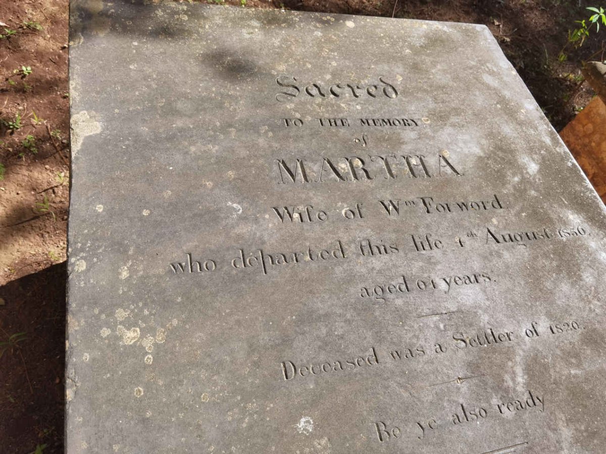 FORWORD Martha -1856 _1