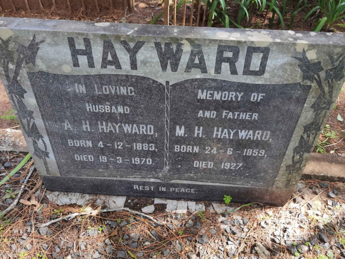 HAYWARD M.H. 1859-1927 :: HAYWARD A.H. 1883-1970