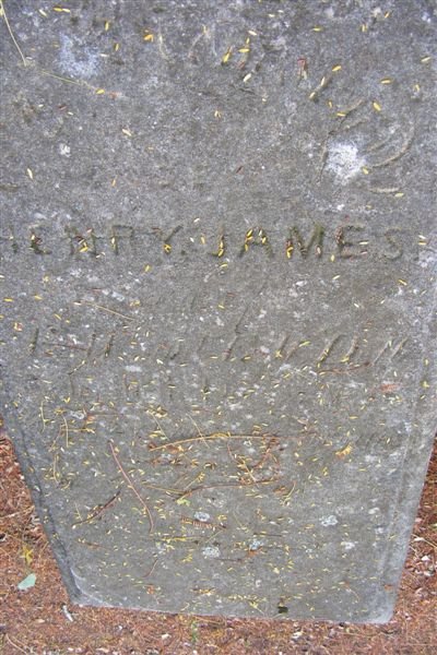 JAMES Henry