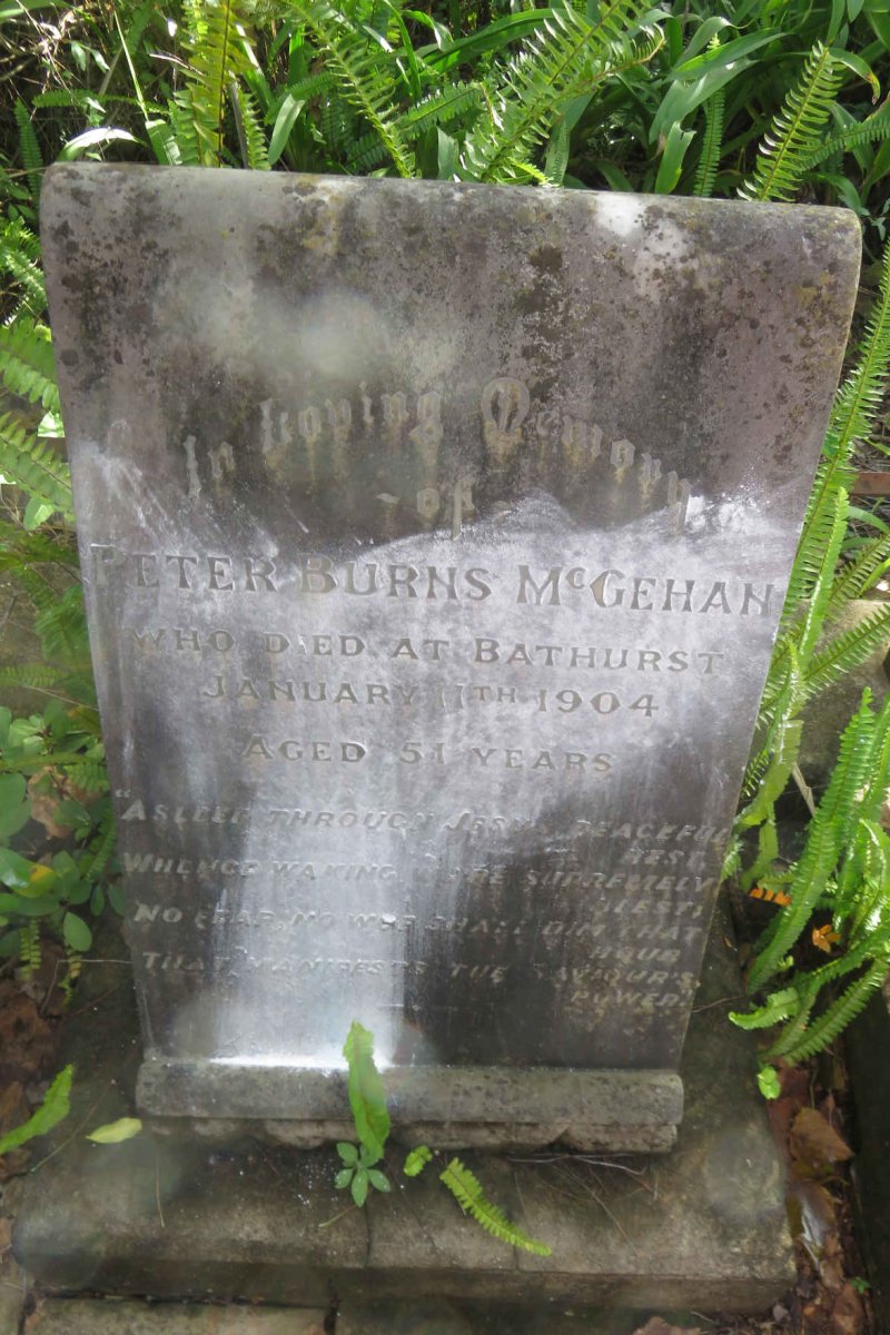 McGEHAN Peter Burns -1904