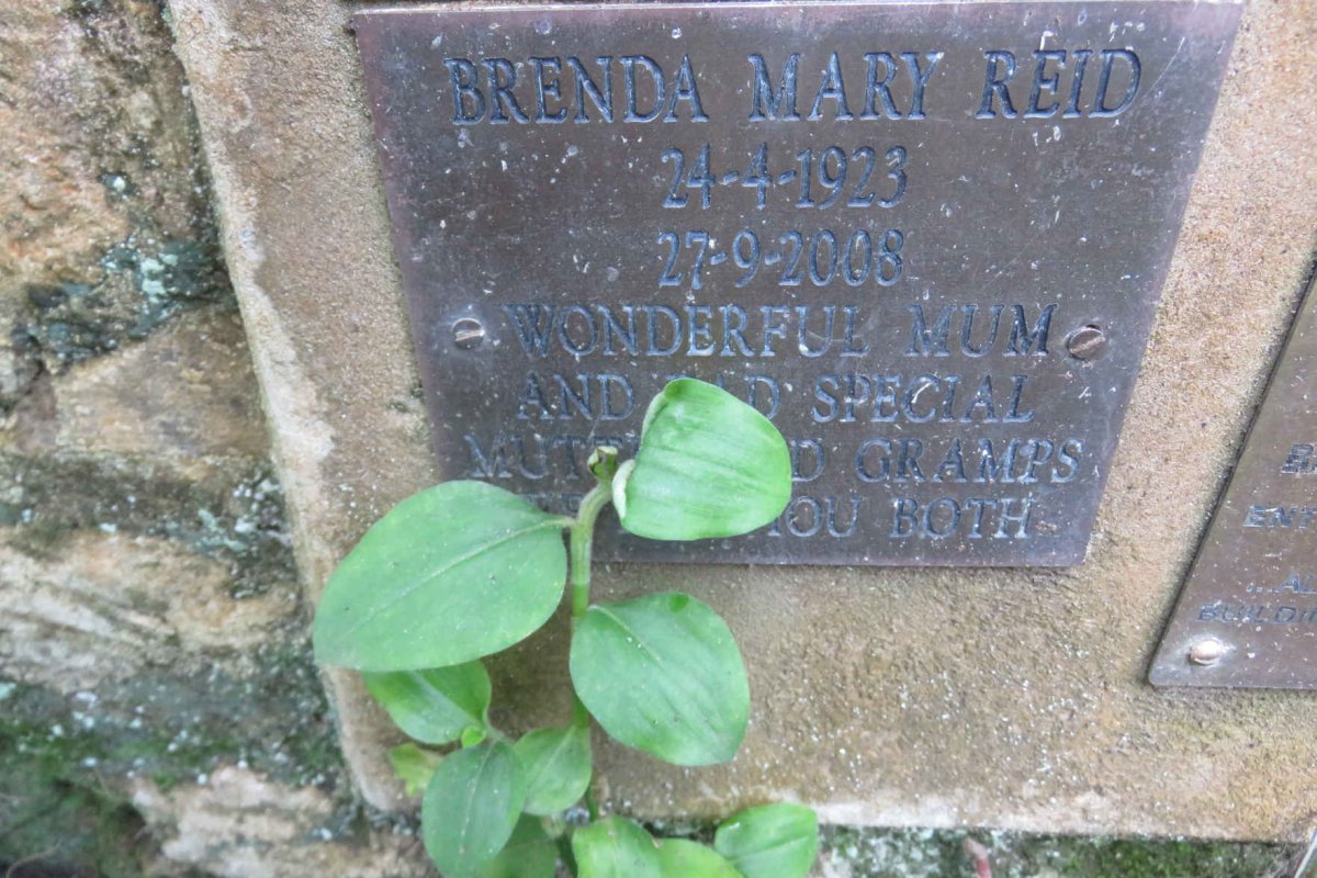 REID Brenda Mary 1923-2006