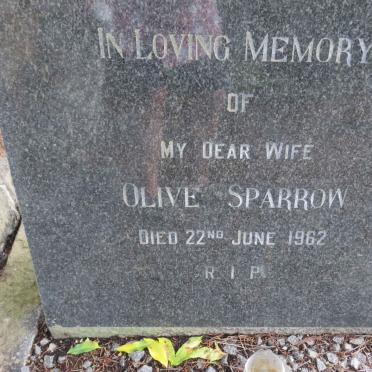 SPARROW Olive -1962