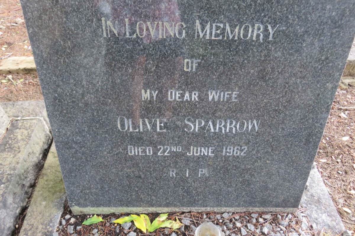SPARROW Olive -1962