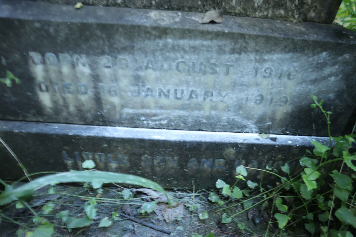 MAPHAM Jimmy 1916-1919