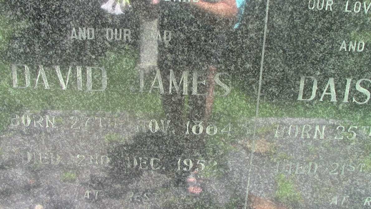 FERGUSON David James 1884-1952