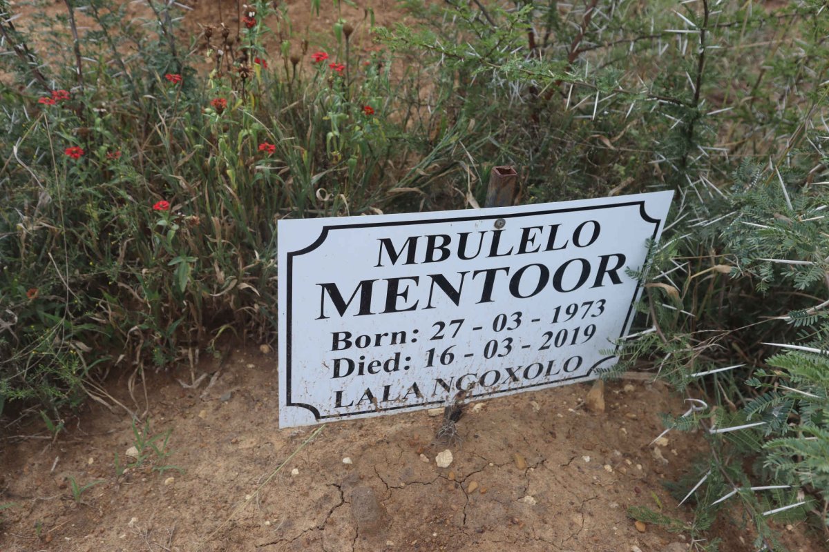 MENTOOR Mbulelo 1973-2019
