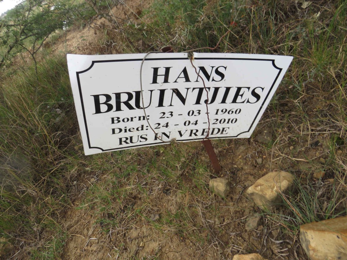 BRUINTJIES Hans 1960-2010