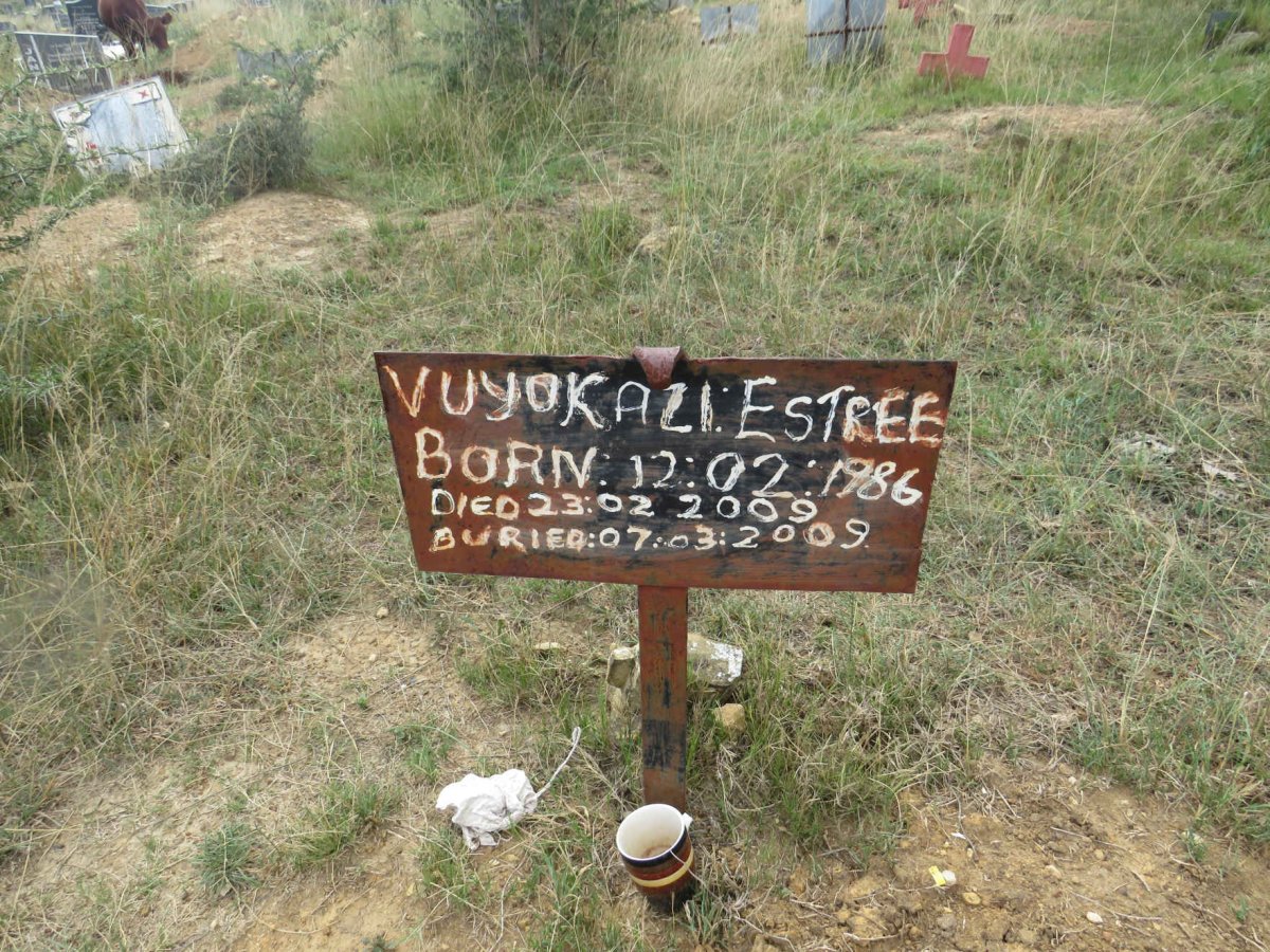 ESTREE Vuyokazi 1986-2009