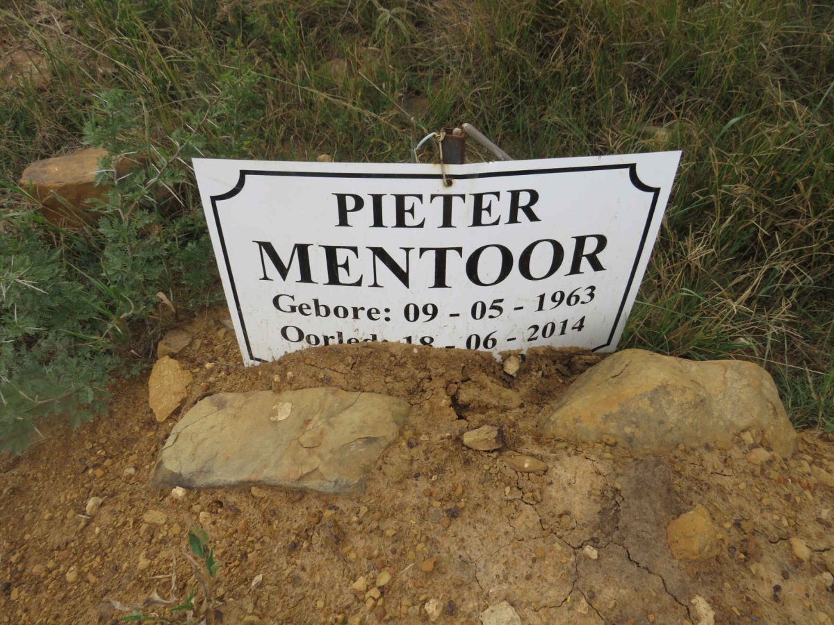 MENTOOR Pieter 1963-2014