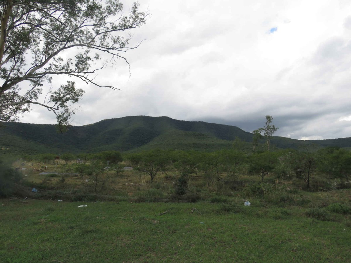 2. Overview / Oorsig