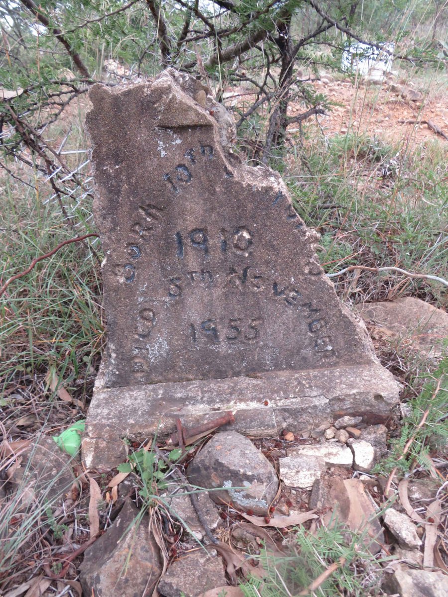 ? 1910-1955