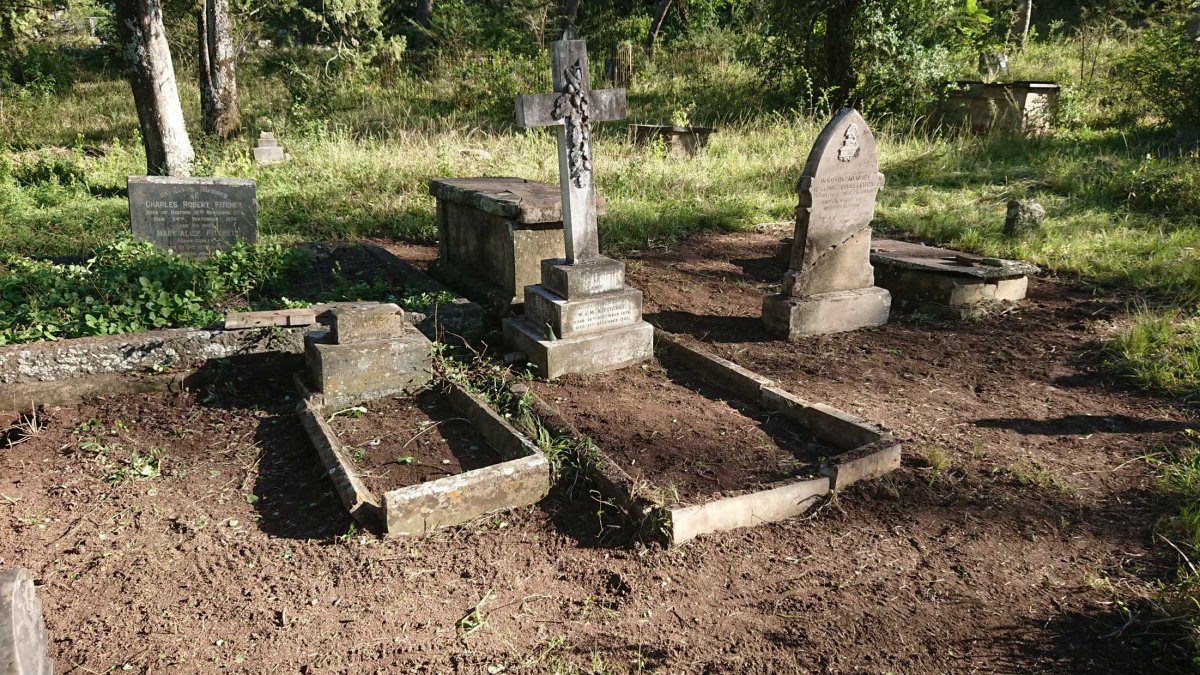 7. After a clean up of the Fitchet plot