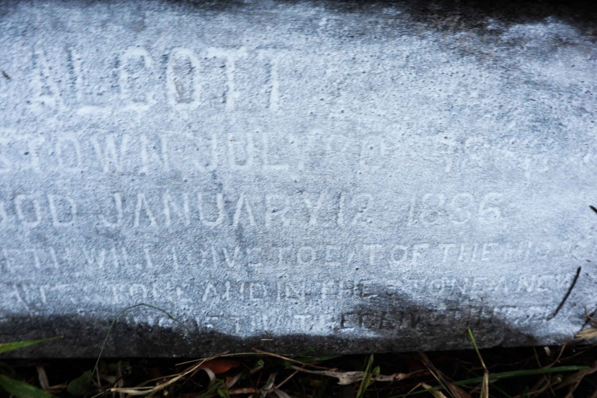ALCOTT Susie 18?-1886