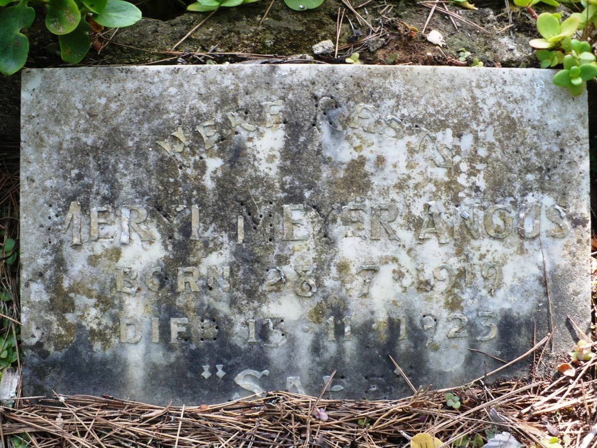 ANGUS Meryl Meyer 1919-1923