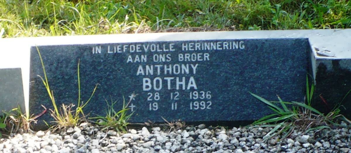 BOTHA Anthony 1936-1992
