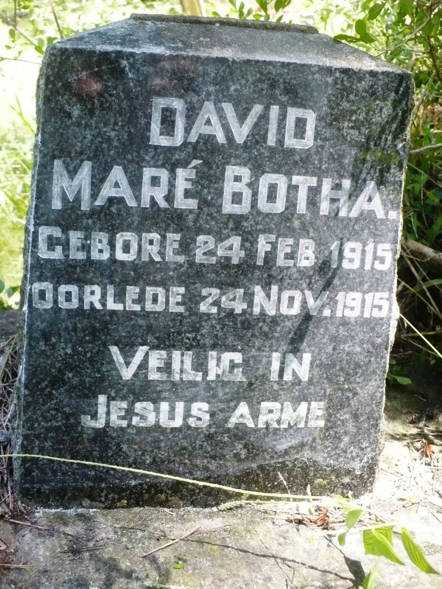 BOTHA David Mare 1915-1915