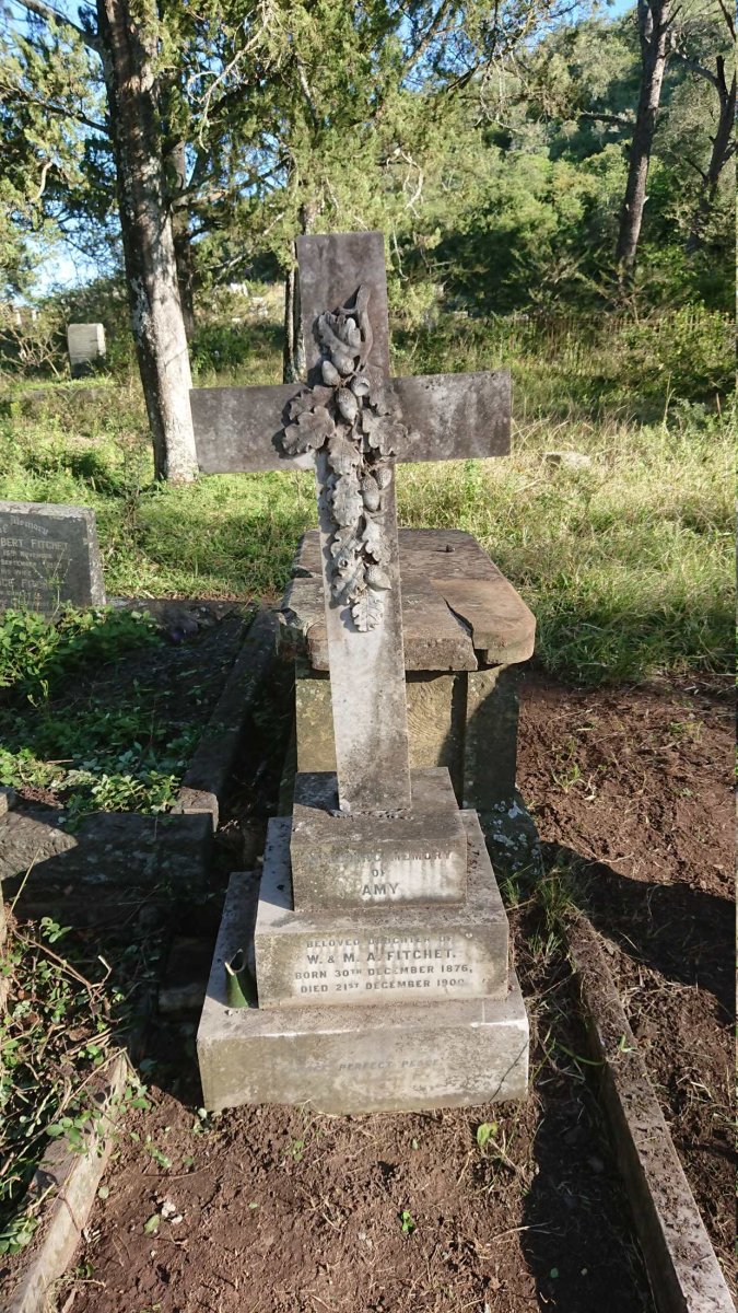 FITCHET Amy 1876-1900 _1