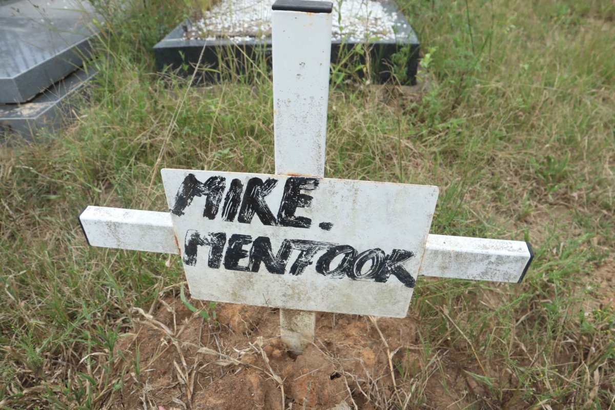 MENTOOR Mike